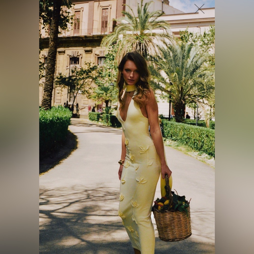 The Wynn Midi Dress - Picture 3 of 5